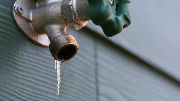 Best Residential Plumbing Services  in Neshanic Station, NJ